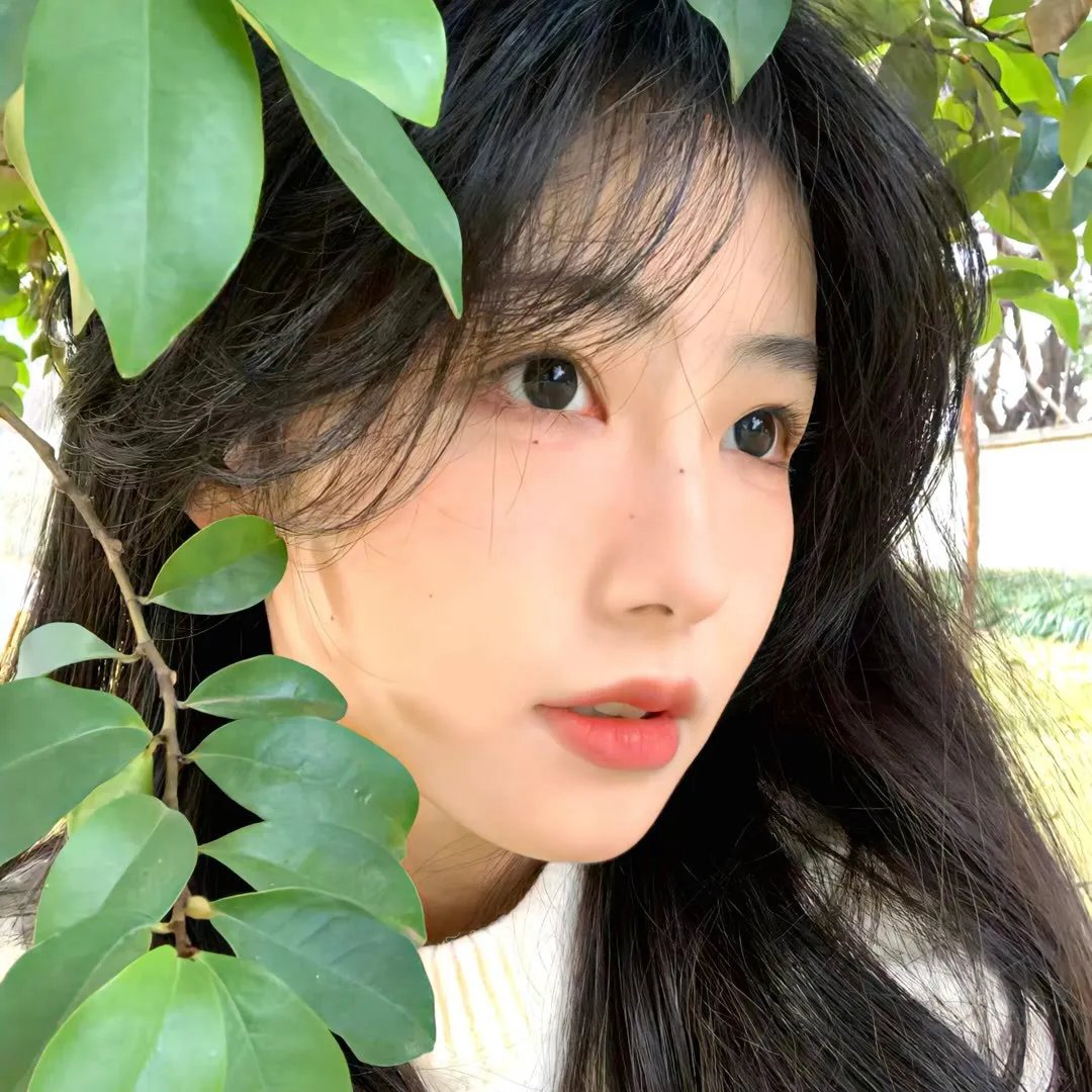 青春恋歌